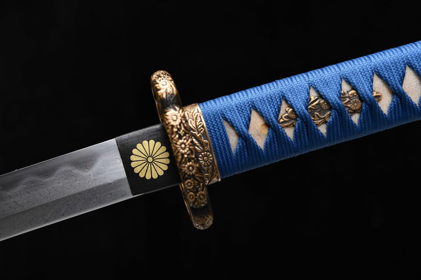 Chrysanthemum Tachi
