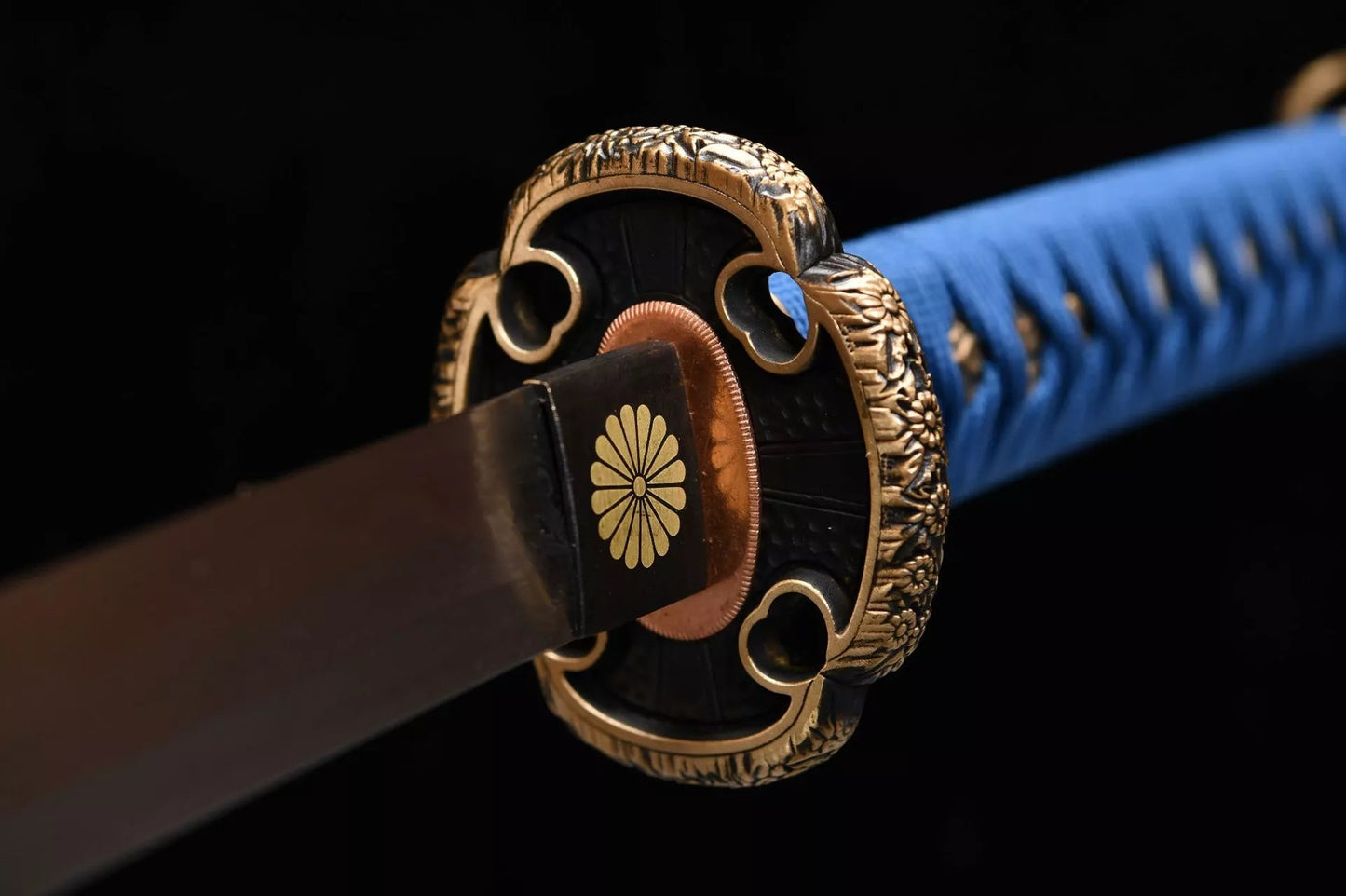 Chrysanthemum Tachi