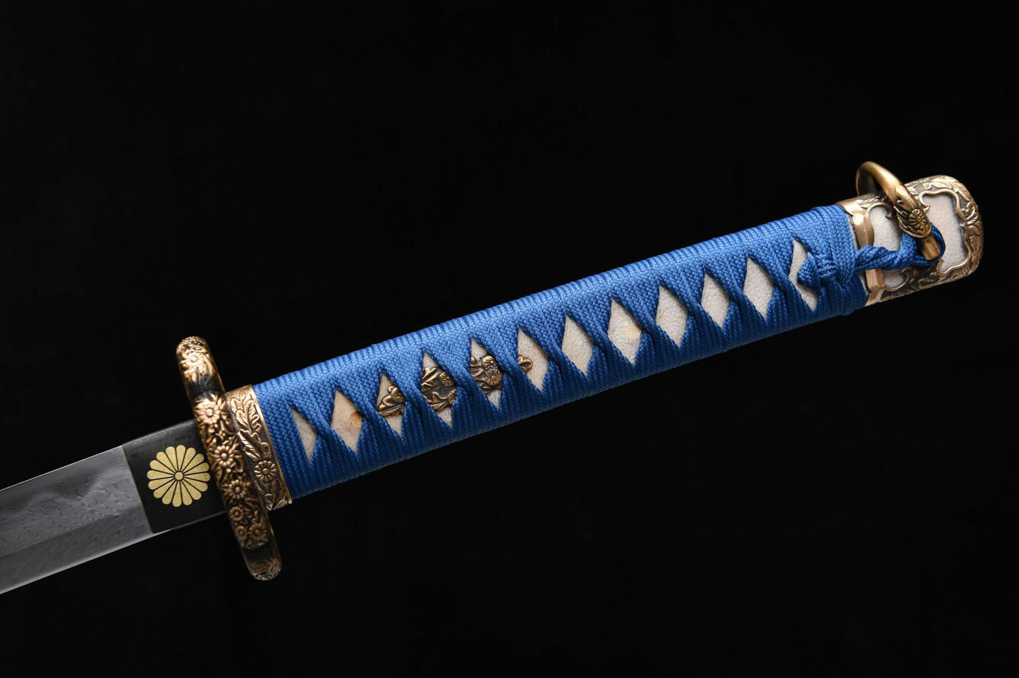 Chrysanthemum Tachi
